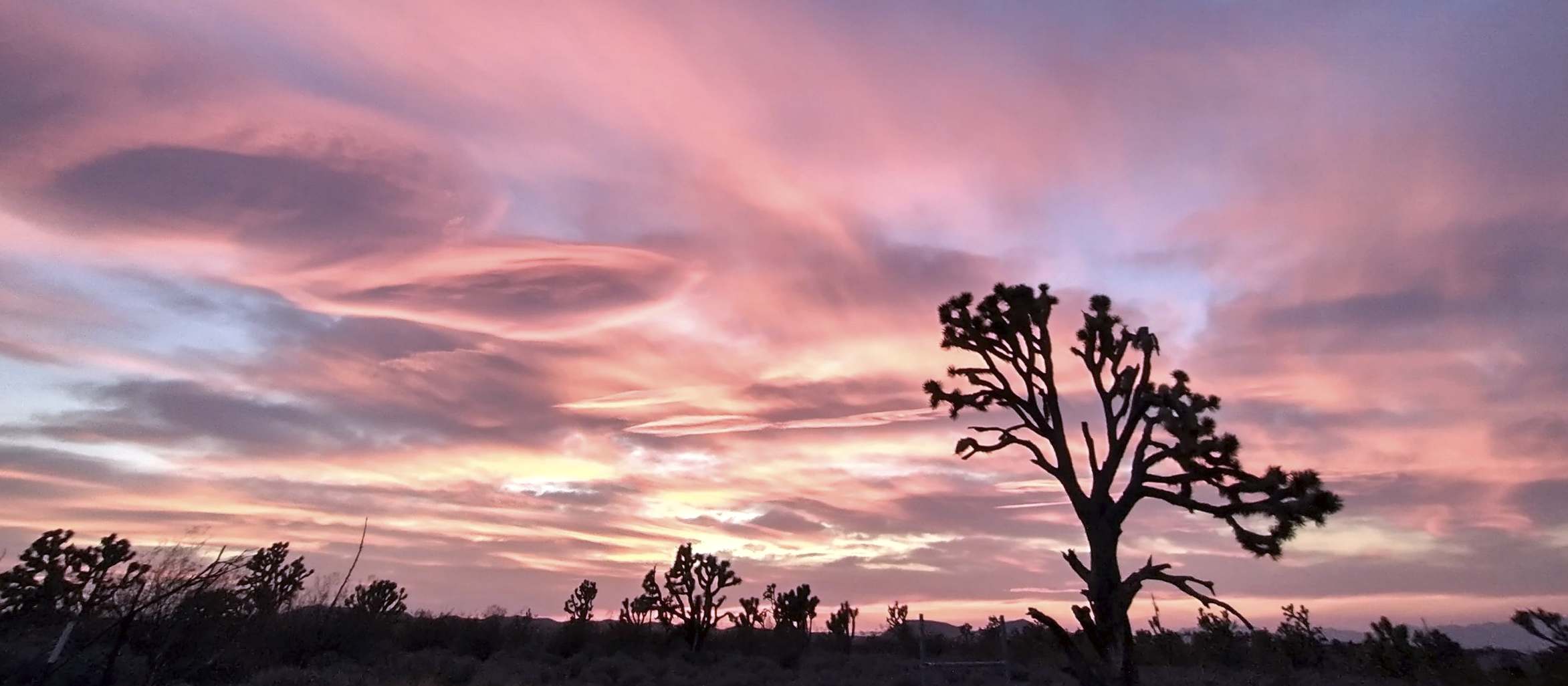 Official Meadview News